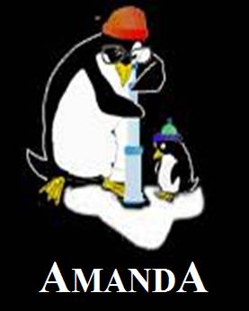 AMANDA.logo